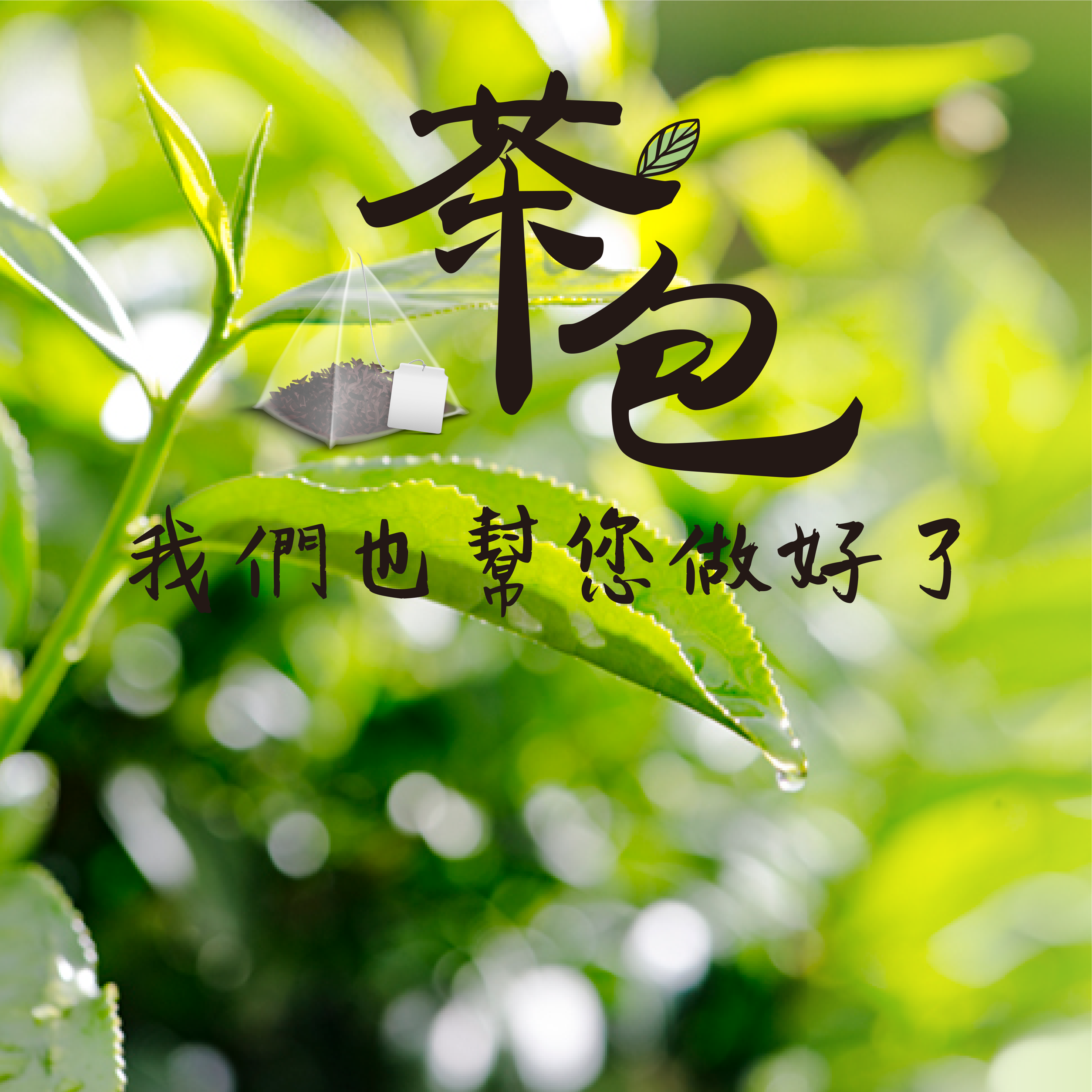 茶包 茶葉代工 品牌創業 台灣製造 鉅昇國際